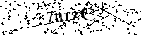 Por favor, escriba las letras y los números siguientes